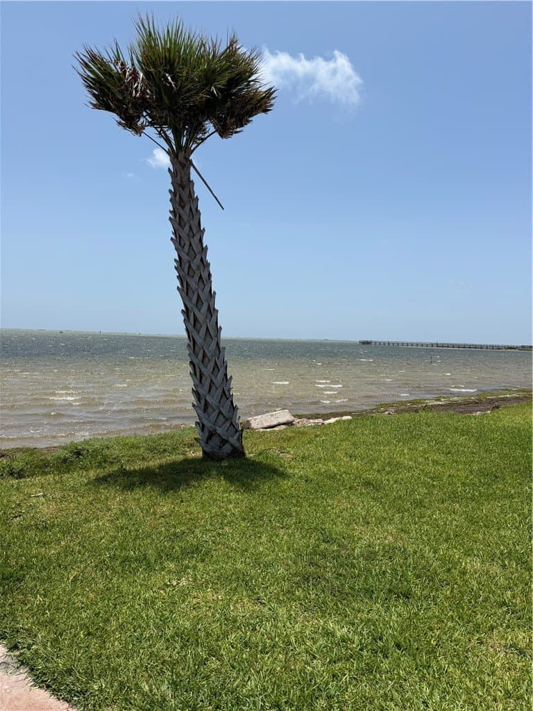 0.09 acres in Nueces County - photo 10