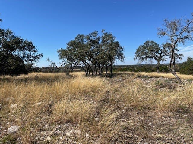 10.02 acres in Gillespie County gallery image 4