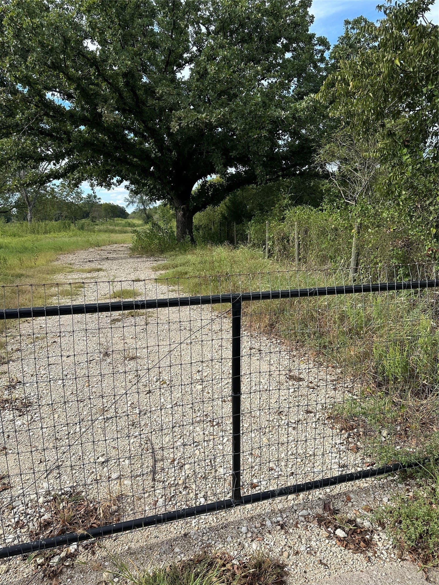 9.07 acres in McLennan County - photo 4