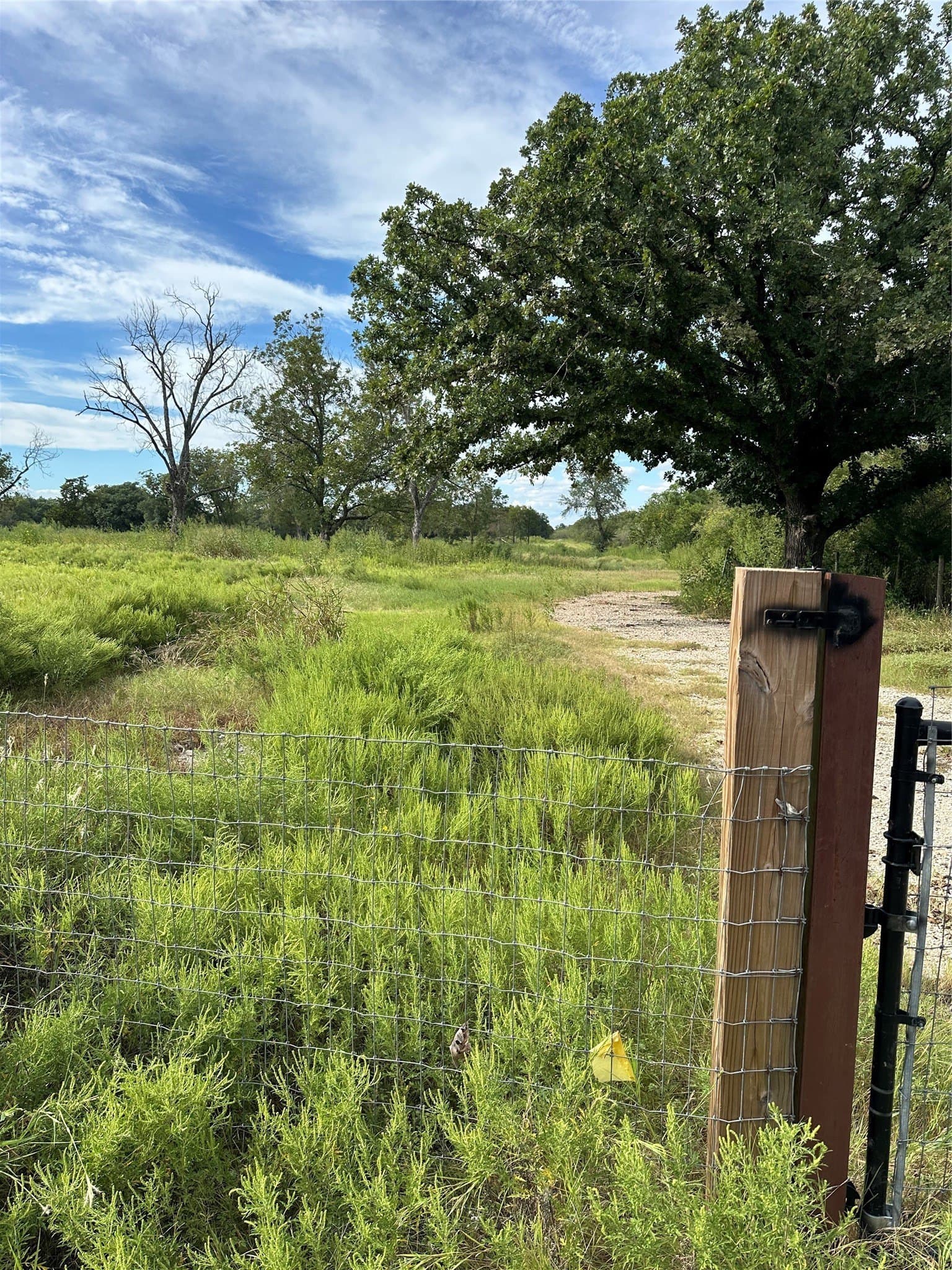9.07 acres in McLennan County - photo 5