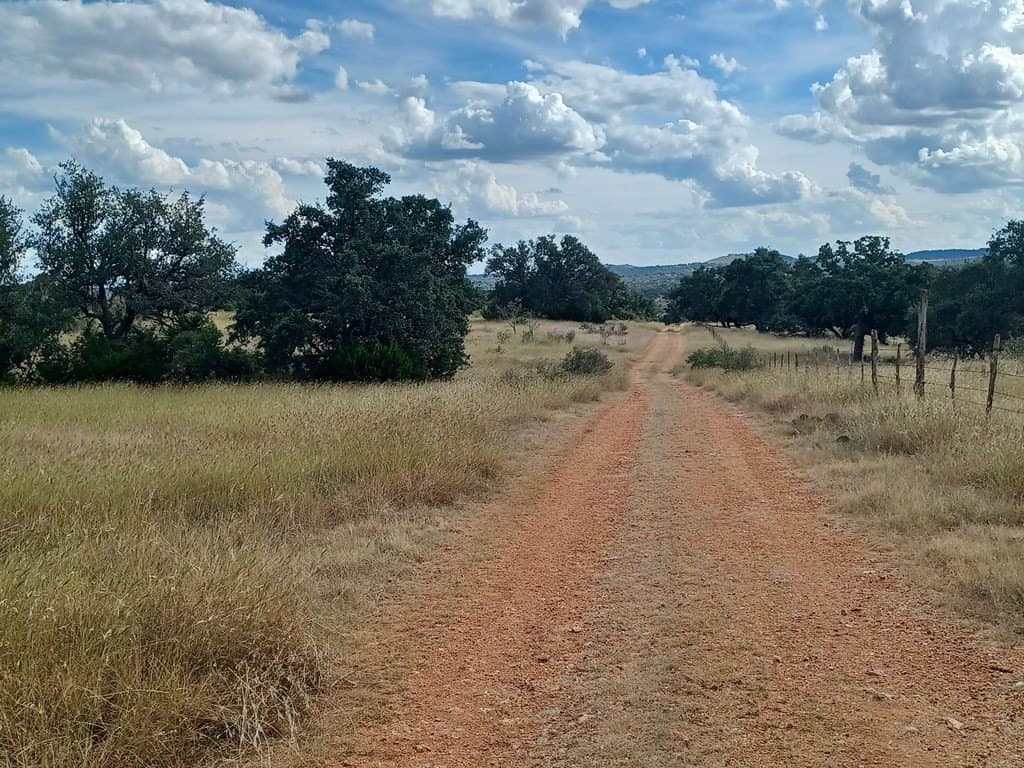 68.51 acres in Gillespie County featured view
