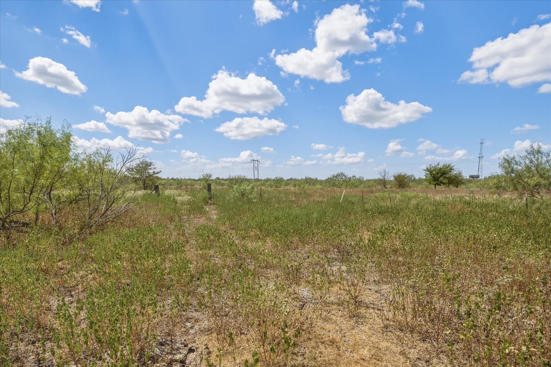 29.94 acres in Kaufman County - photo 18