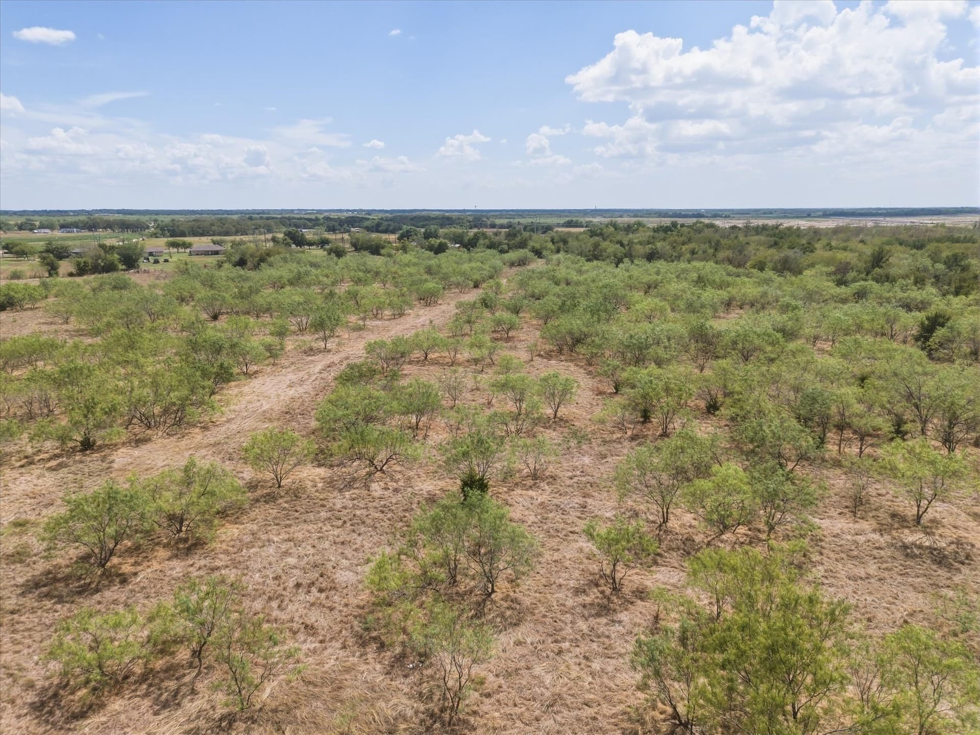 29.94 acres in Kaufman County - photo 17