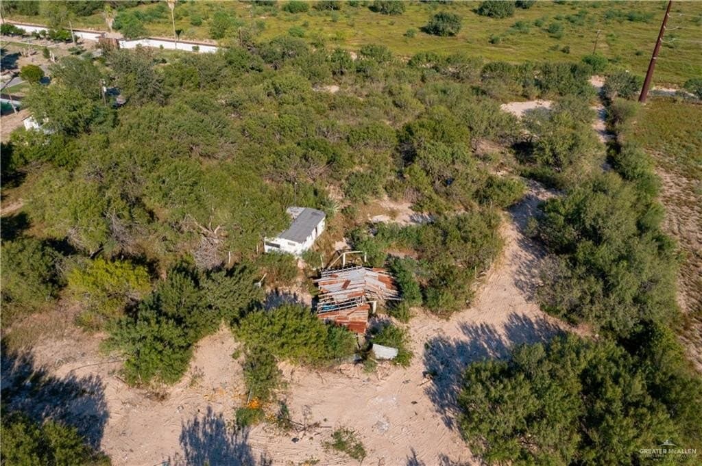 11.3 acres in Hidalgo County gallery image 4