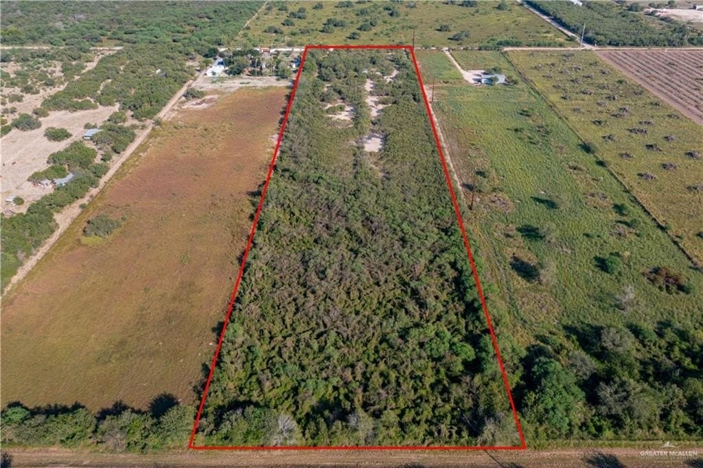 11.3 acres in Hidalgo County gallery image 3