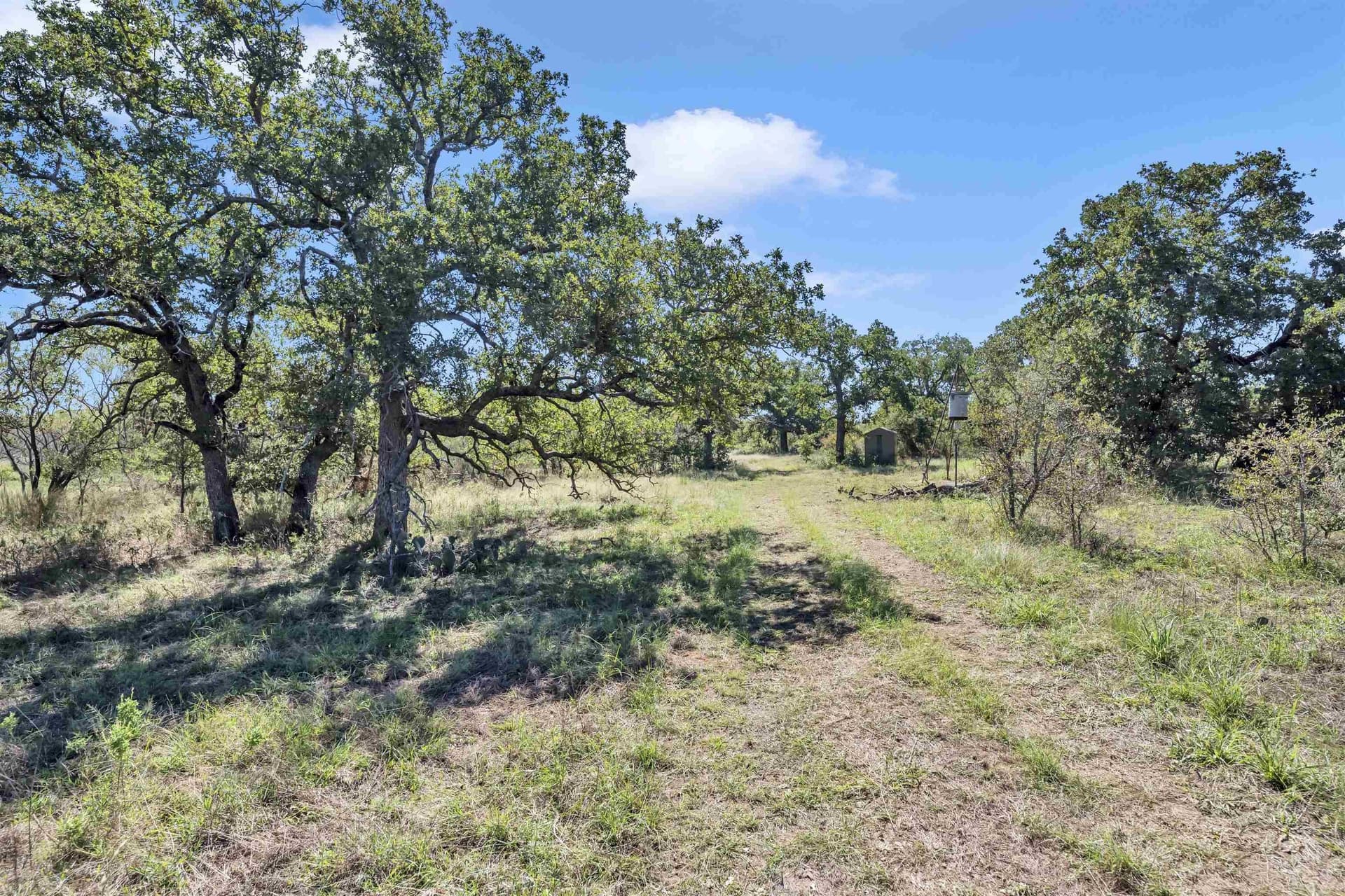 20.99 acres in Llano County - photo 17