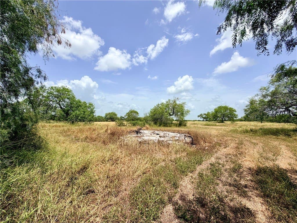 20.01 acres in Kleberg County - photo 26