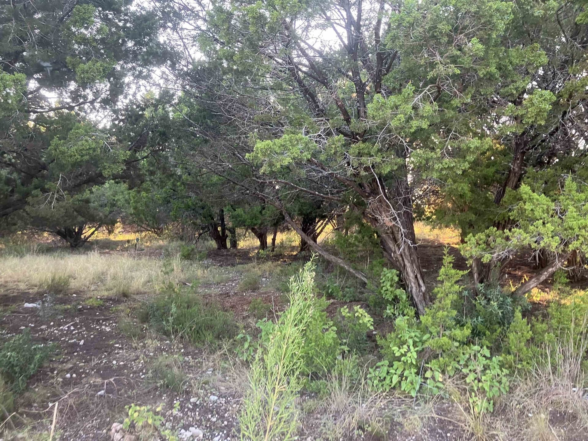 0.23 acres in Travis County