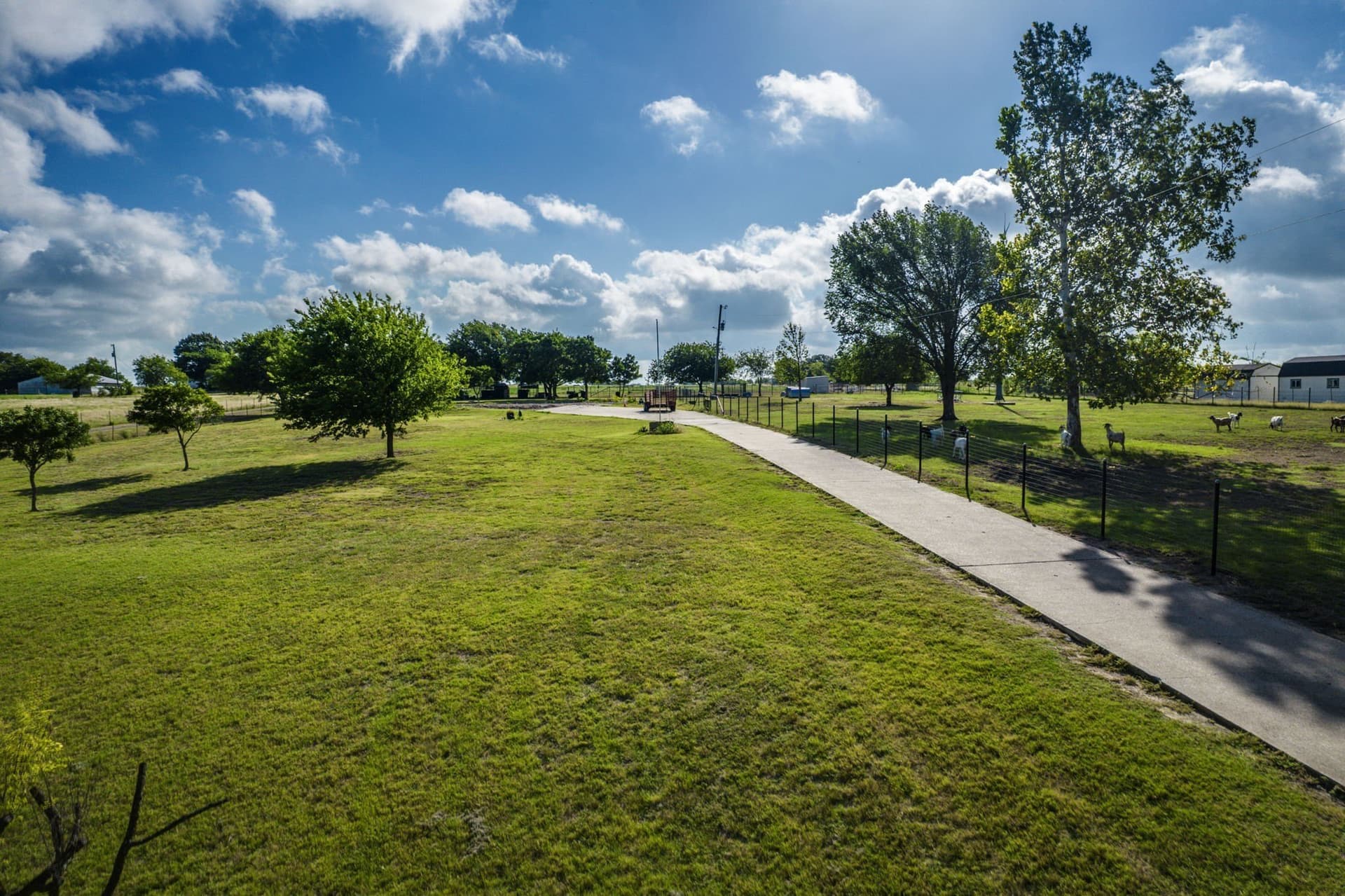 4 acres in Ellis County gallery image 4