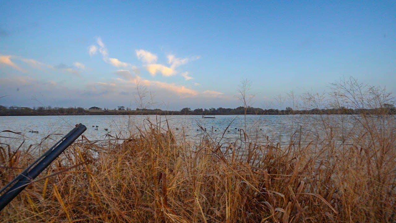 136 acres in Bell County - photo 7