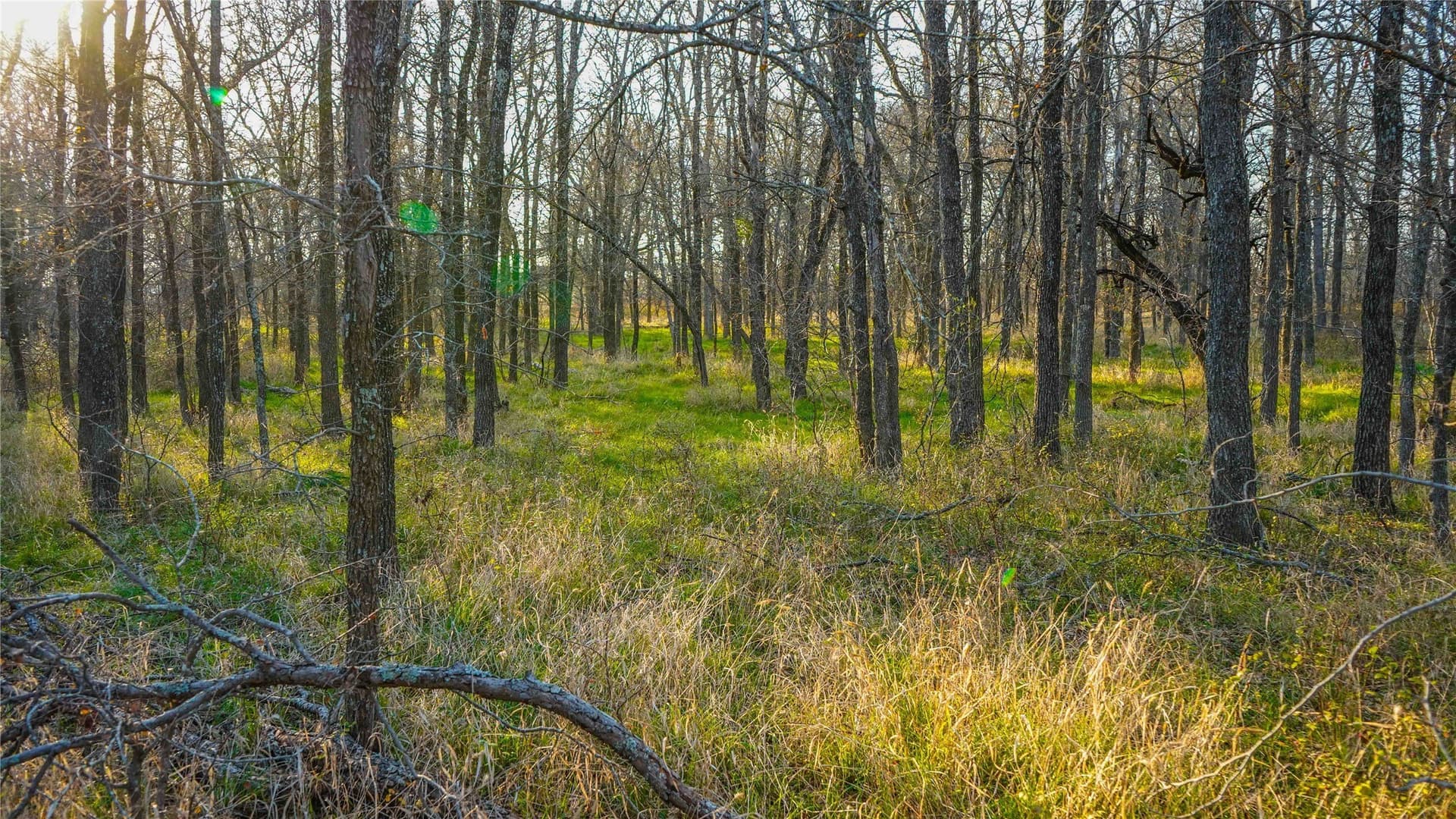 136 acres in Bell County - photo 32