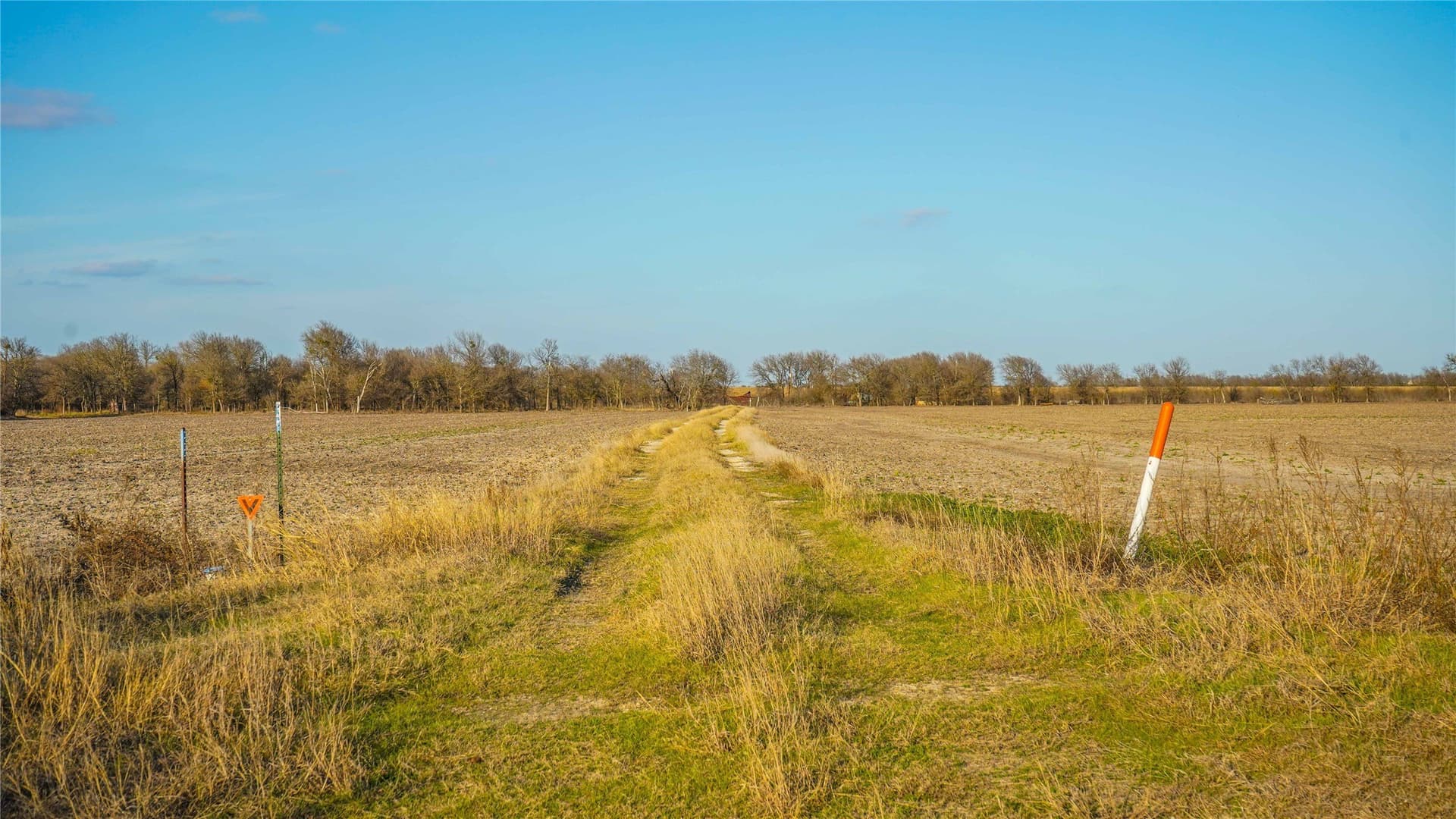 136 acres in Bell County - photo 34