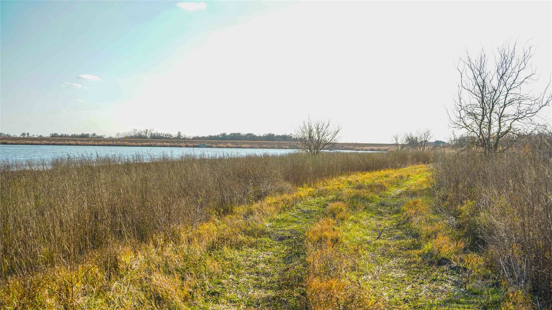 136 acres in Bell County - photo 35