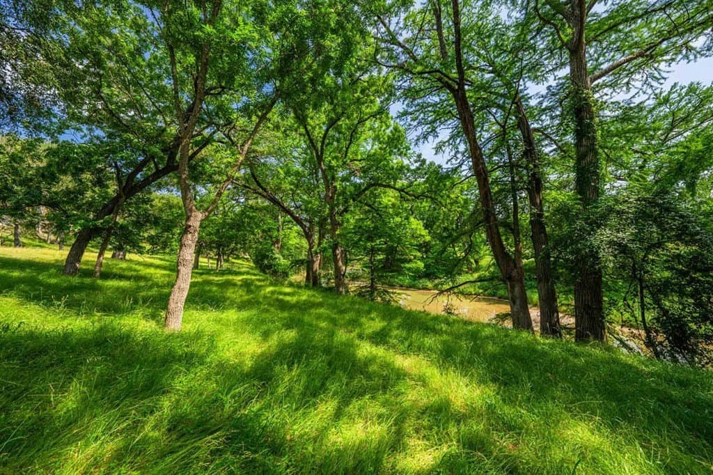 85 acres in Kendall County - photo 11