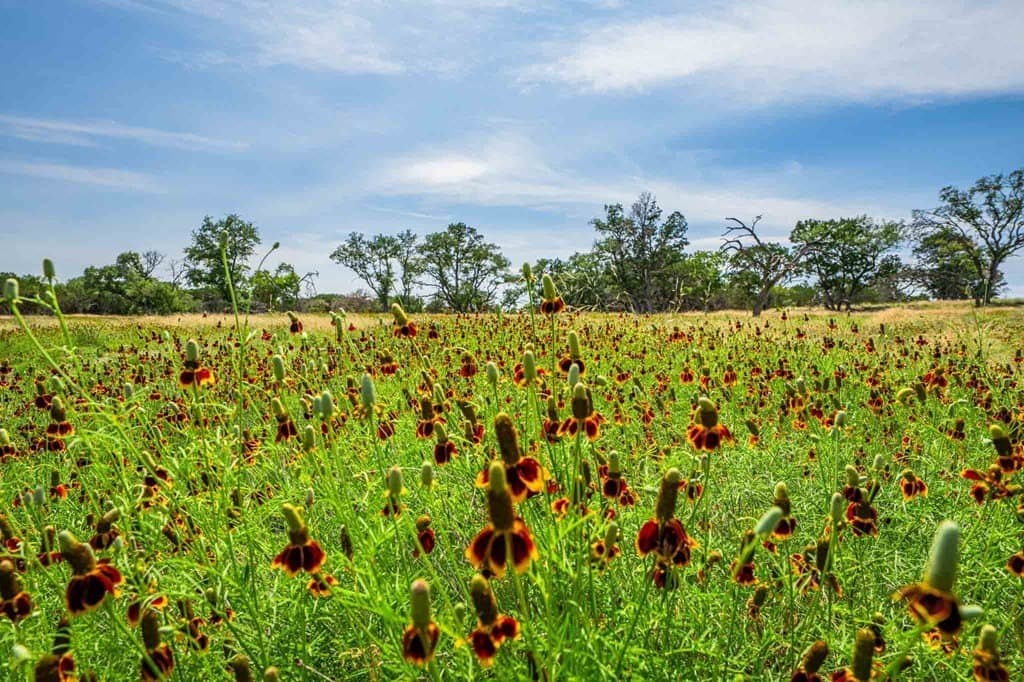 85 acres in Kendall County - photo 46