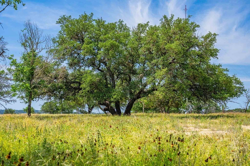 85 acres in Kendall County - photo 47