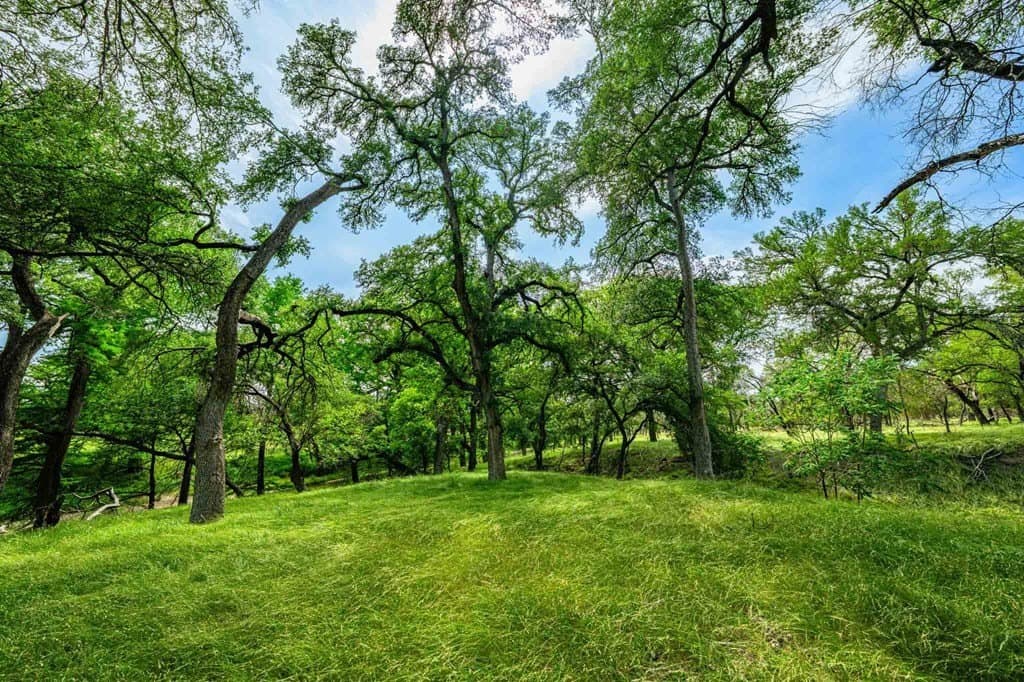 85 acres in Kendall County - photo 12