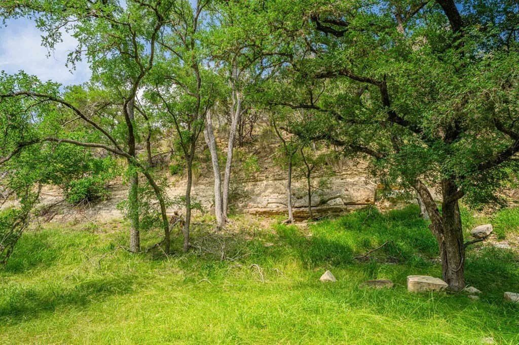 85 acres in Kendall County - photo 13