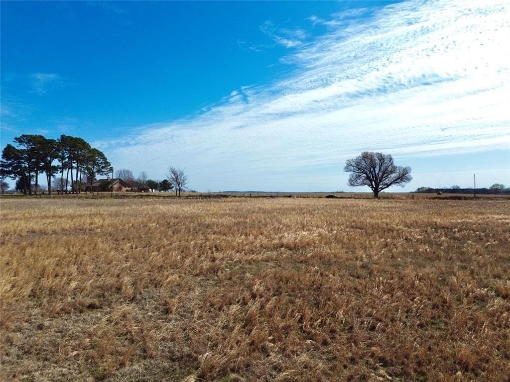 5 acres in Henderson County gallery image 4