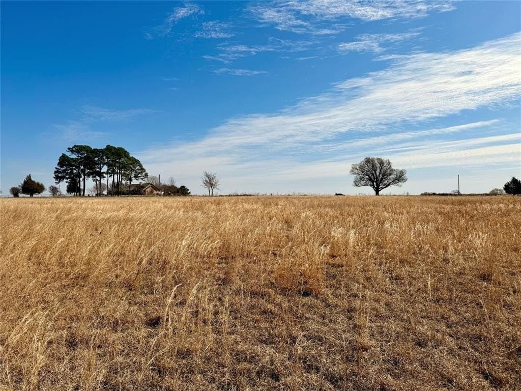 5 acres in Henderson County gallery image 2