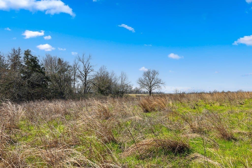 1 acres in Milam County - photo 10