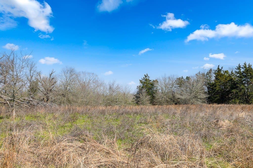 1 acres in Milam County - photo 8