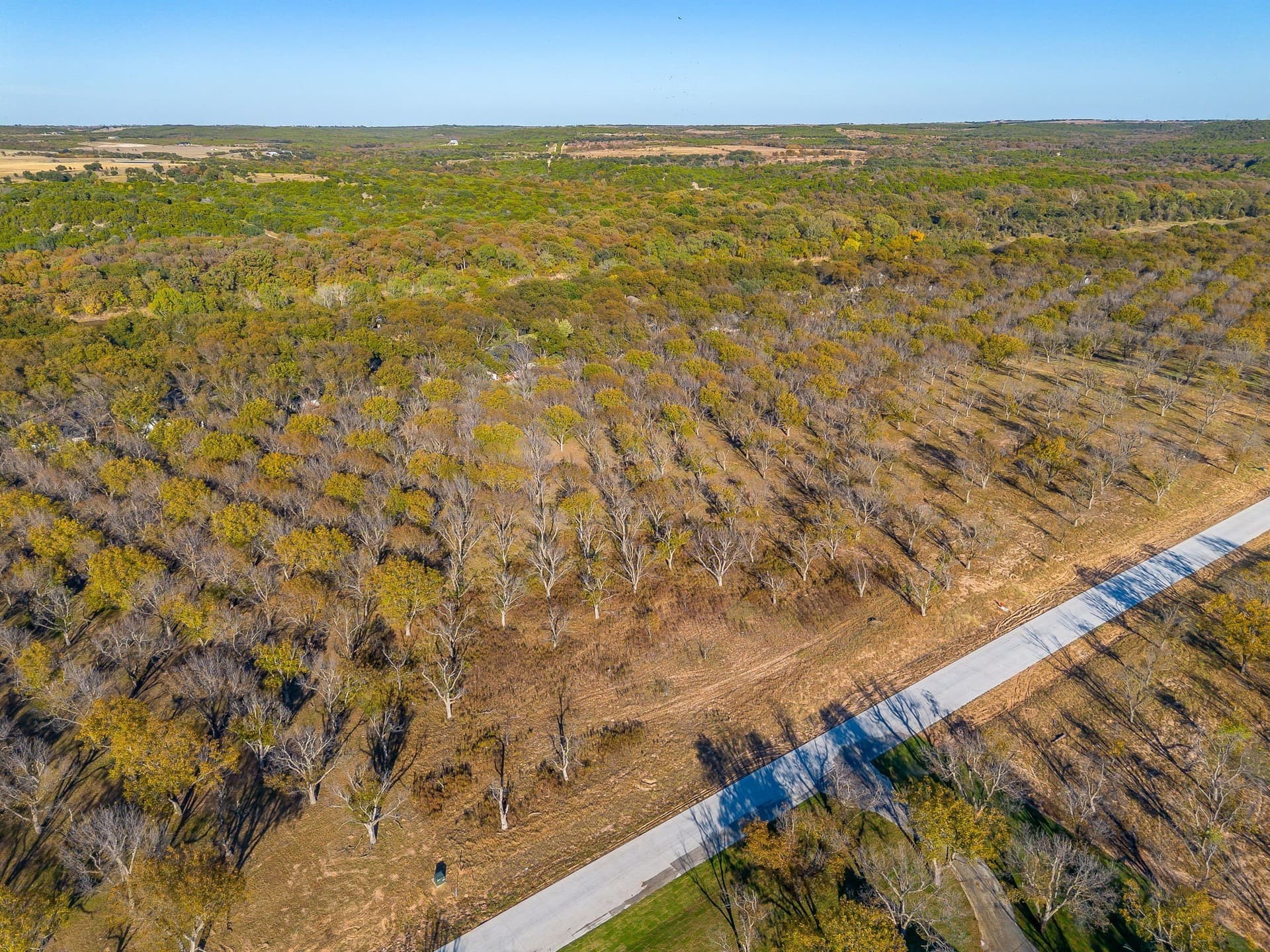 2.69 acres in Hood County gallery image 3