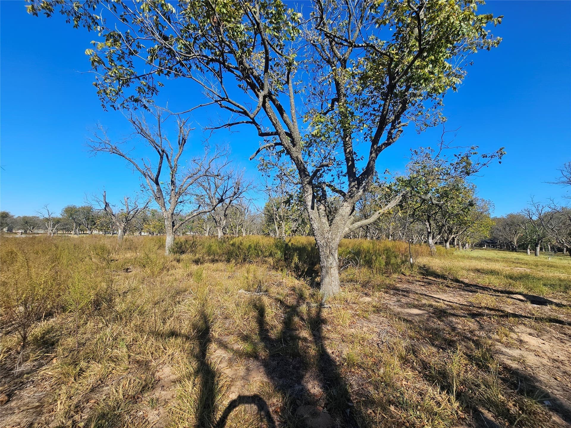 2.69 acres in Hood County - photo 13