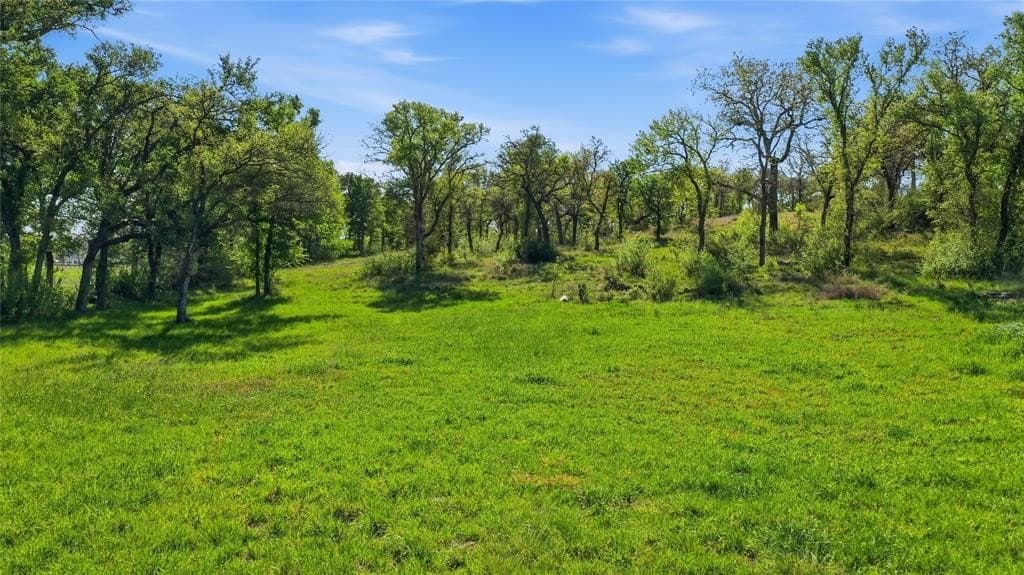 5 acres in Palo Pinto County gallery image 2
