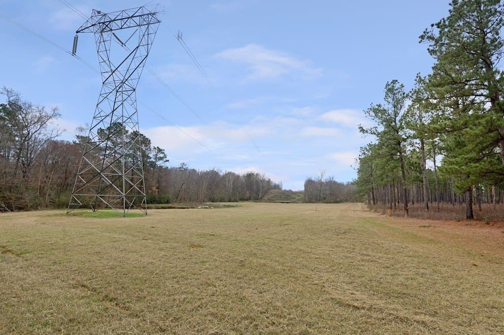 50.8 acres in Texas County gallery image 4