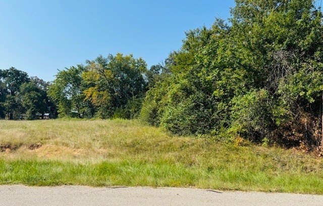 0.18 acres in Henderson County - photo 6