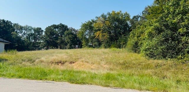 0.18 acres in Henderson County - photo 7