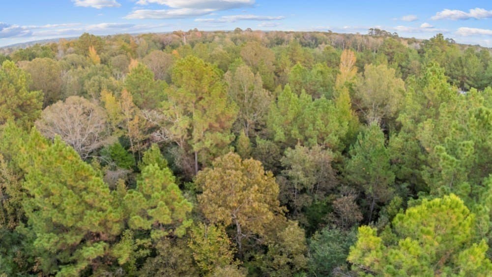 6.23 acres in Texas County - photo 7