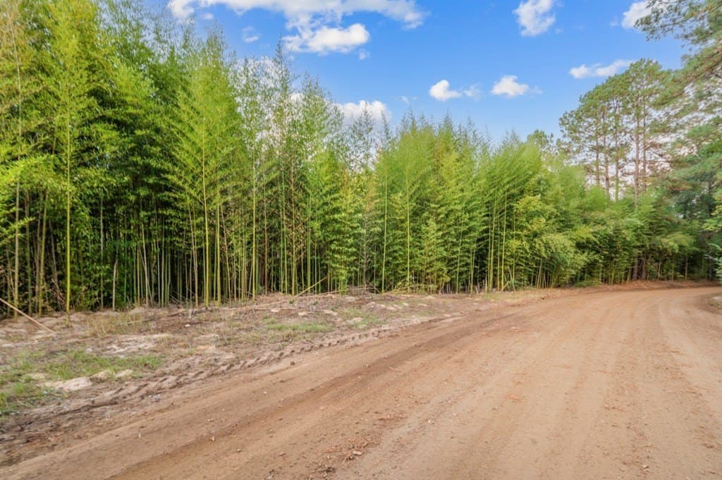 6.23 acres in Texas County - photo 3