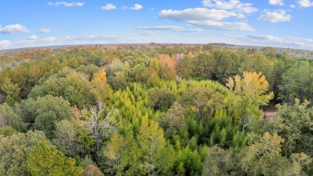 6.23 acres in Texas County - photo 6