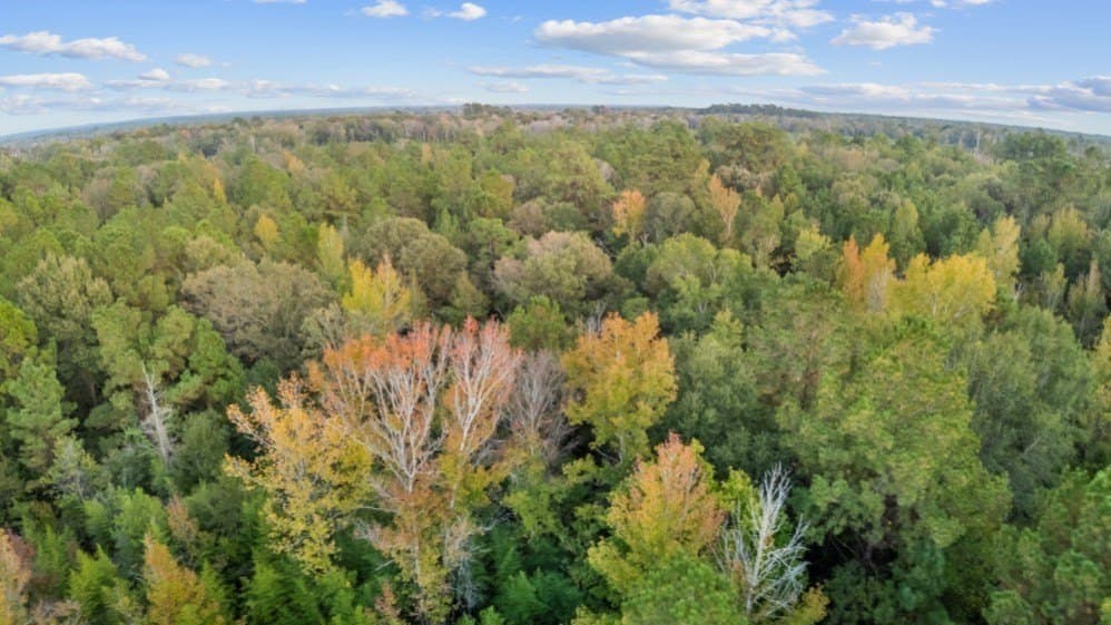 6.23 acres in Texas County - photo 8
