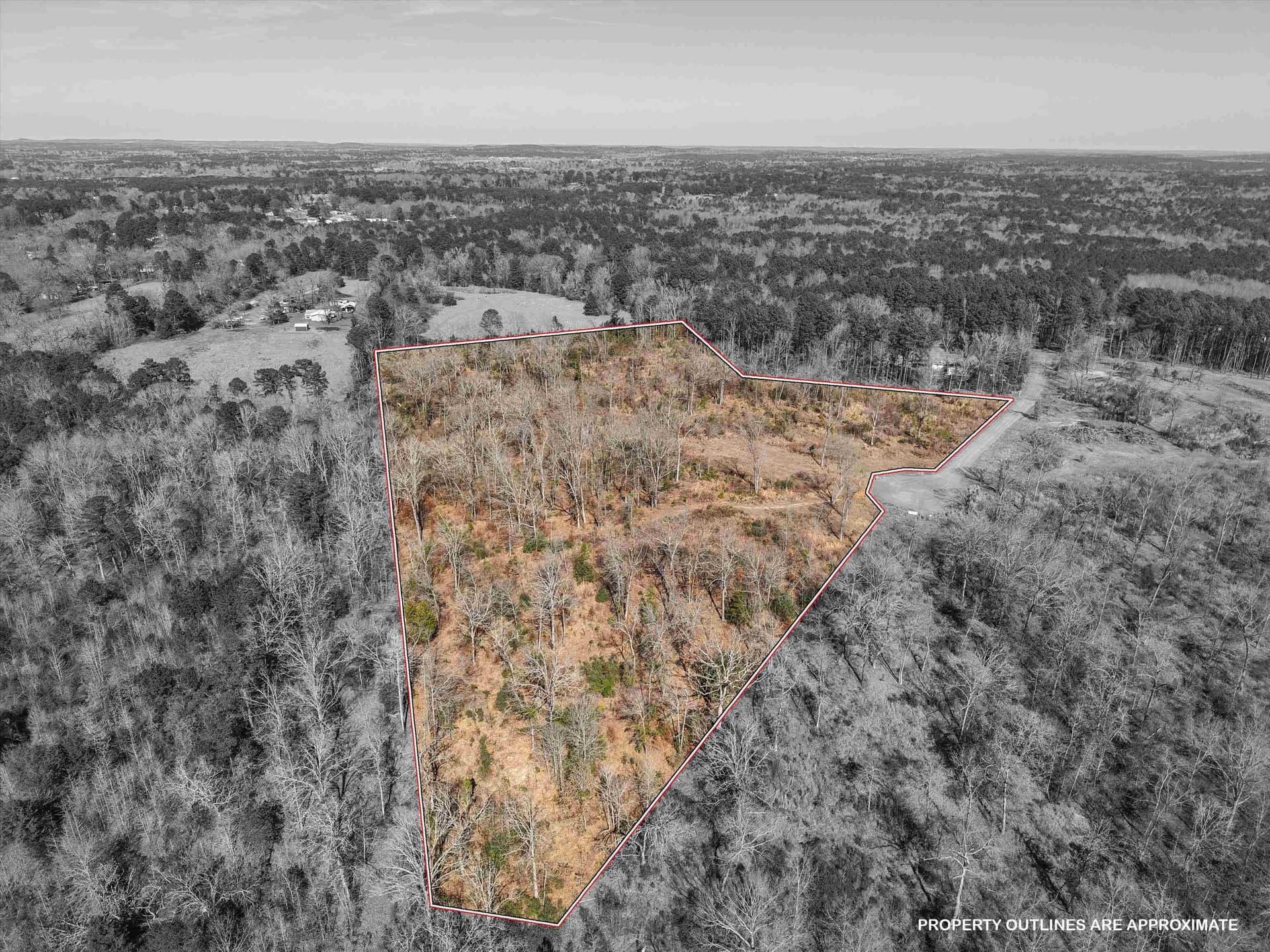 17.08 acres in Upshur County gallery image 2