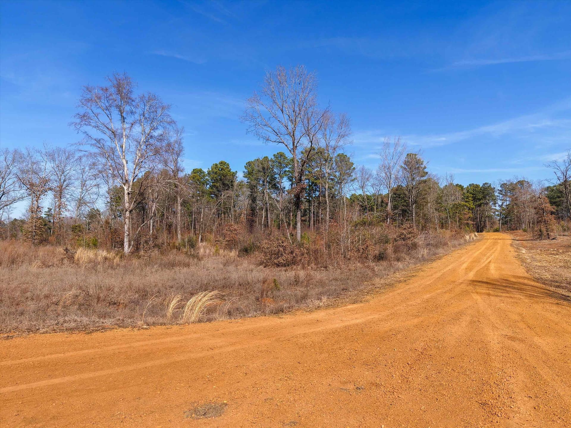 17.08 acres in Upshur County gallery image 4