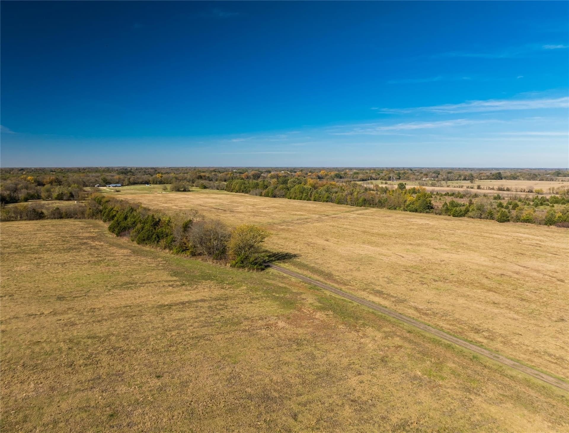 25 acres in Lamar County - photo 11