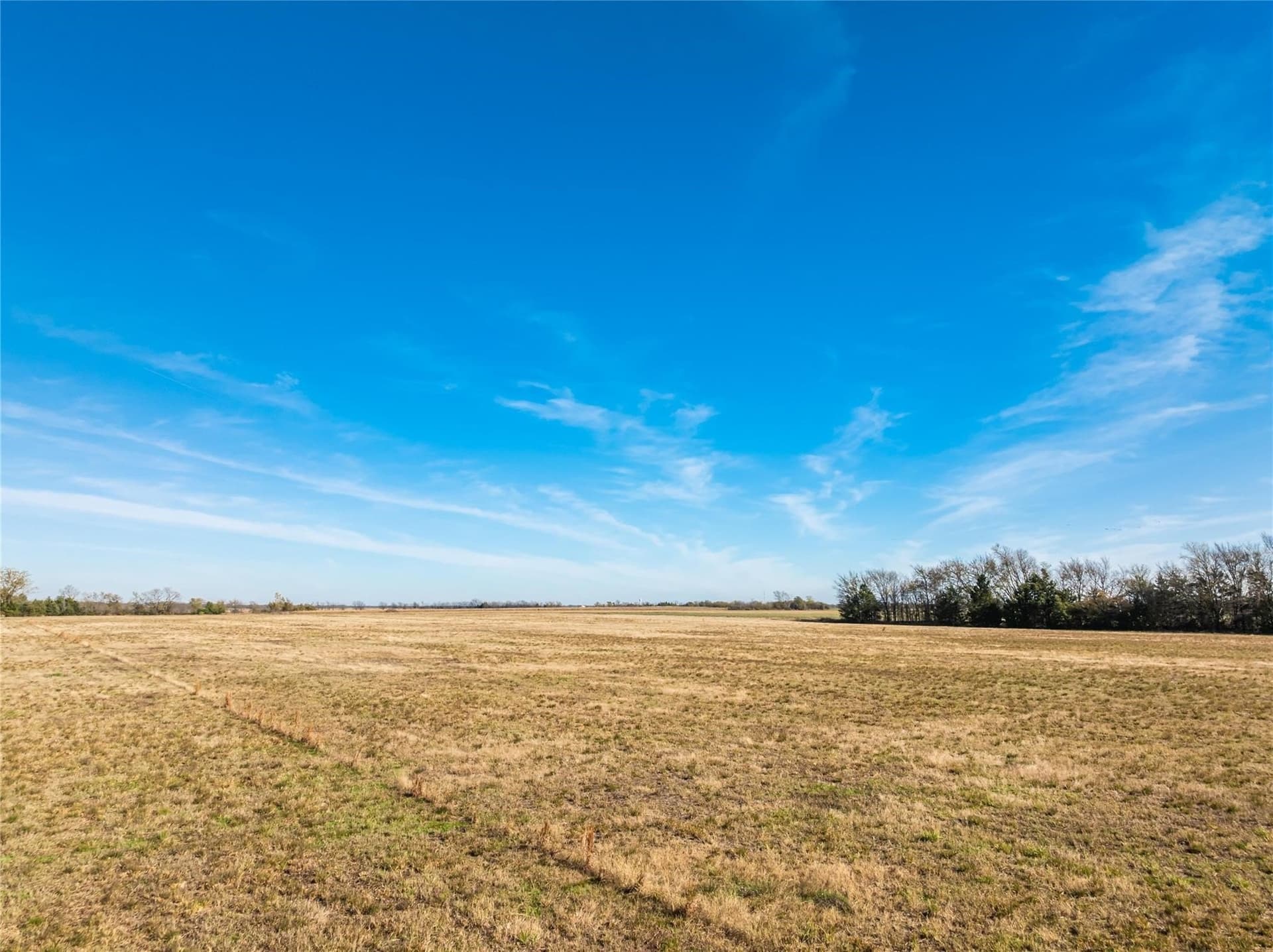25 acres in Lamar County - photo 15