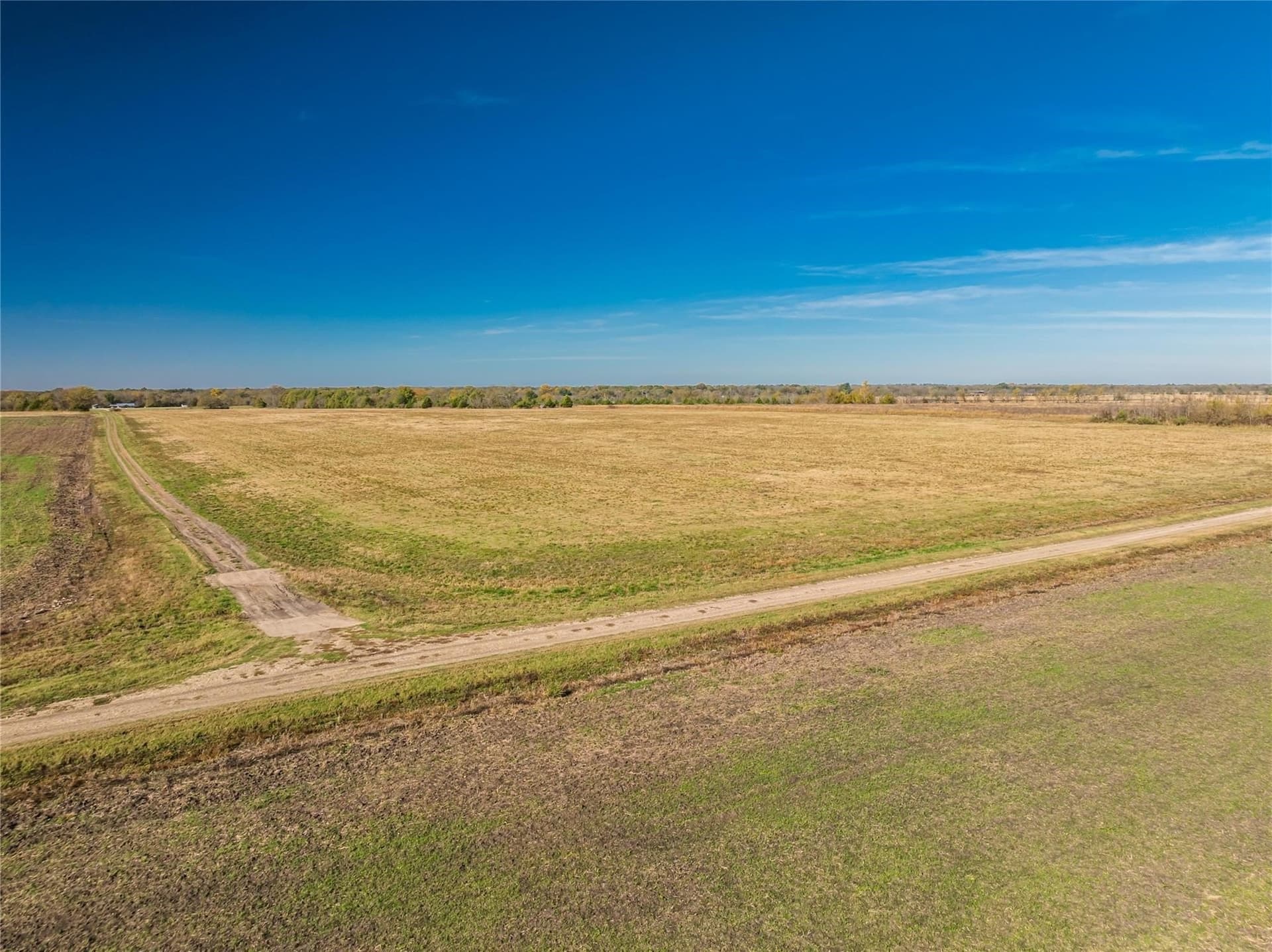 25 acres in Lamar County - photo 17