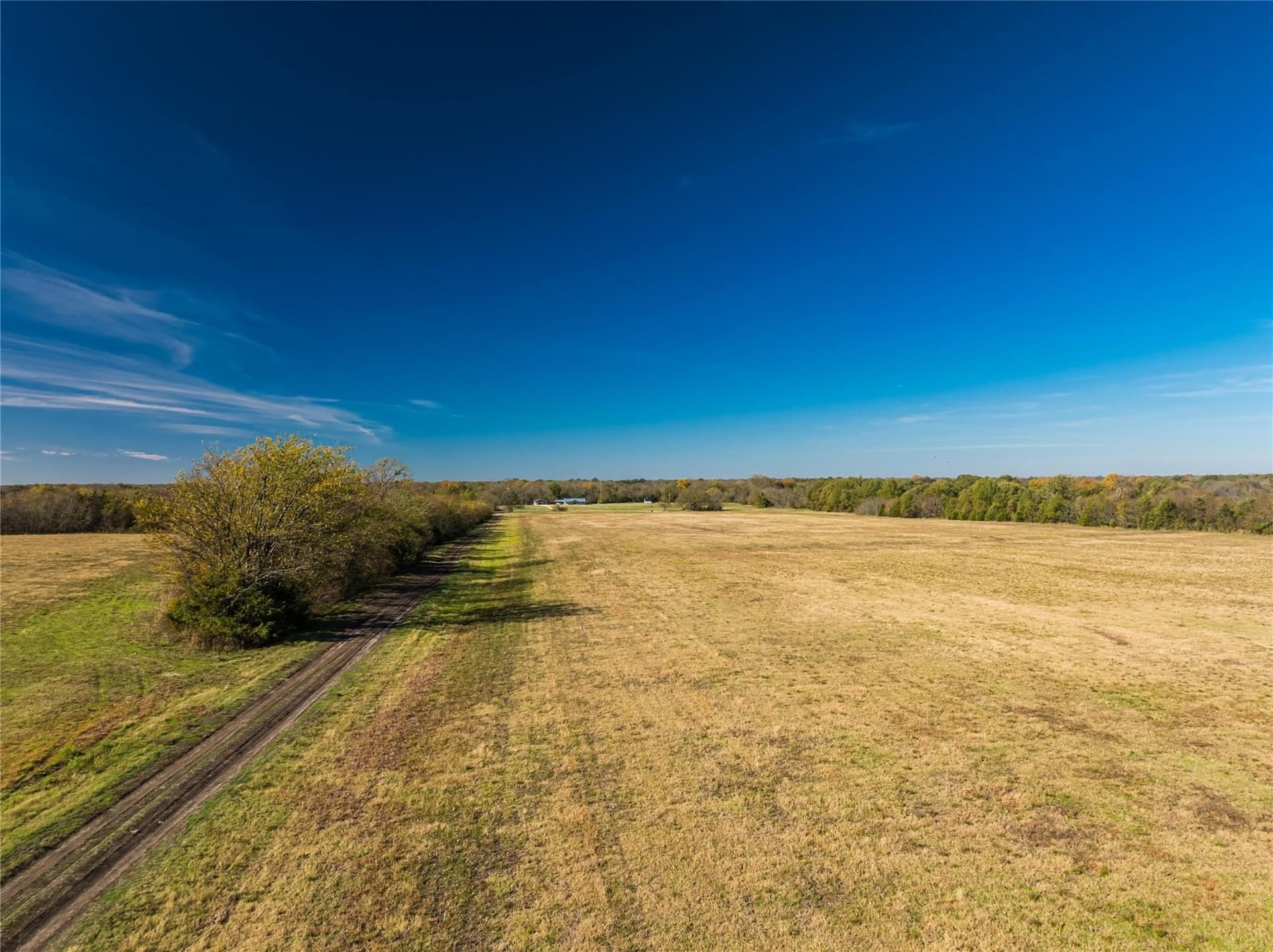 25 acres in Lamar County - photo 8