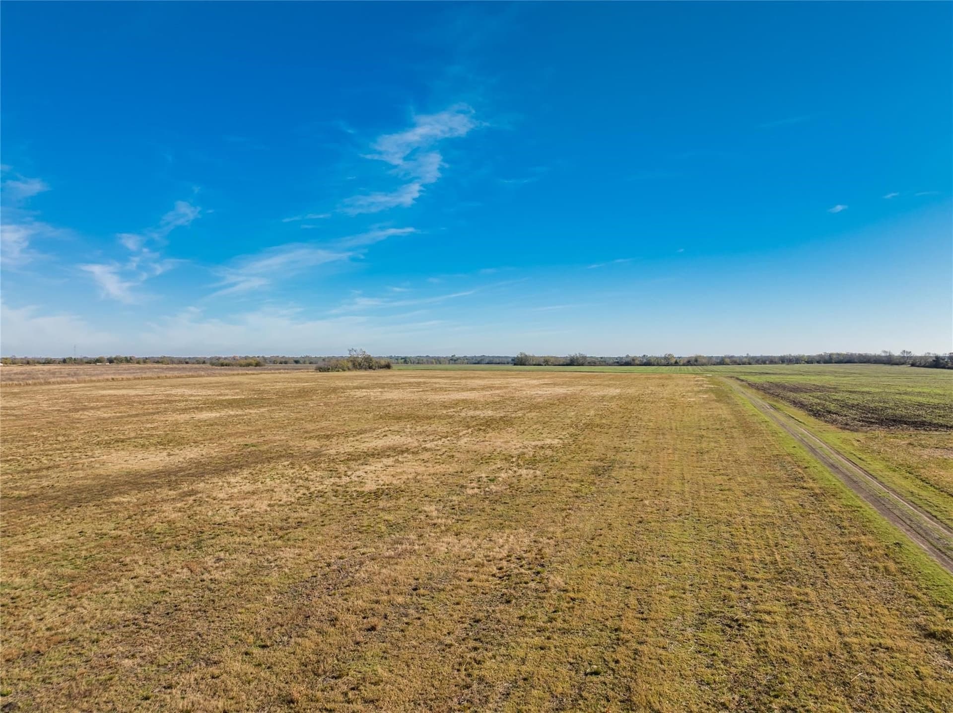 25 acres in Lamar County - photo 6