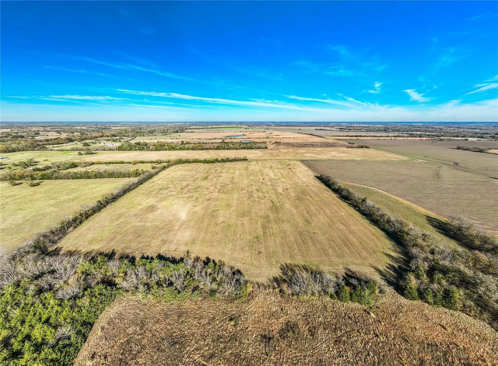 25 acres in Lamar County - photo 16