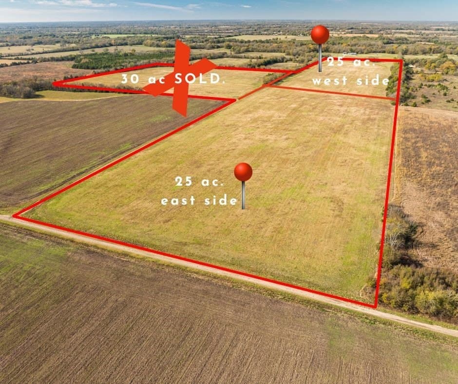 25 acres in Lamar County gallery image 3