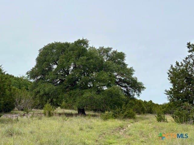 57.96 acres in Lampasas County gallery image 2