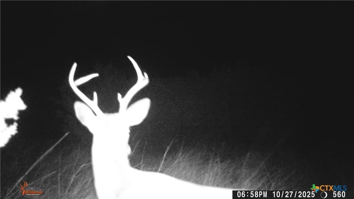 57.96 acres in Lampasas County gallery image 3