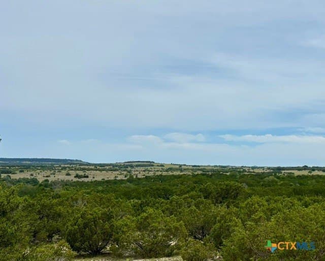 57.96 acres in Lampasas County gallery image 4