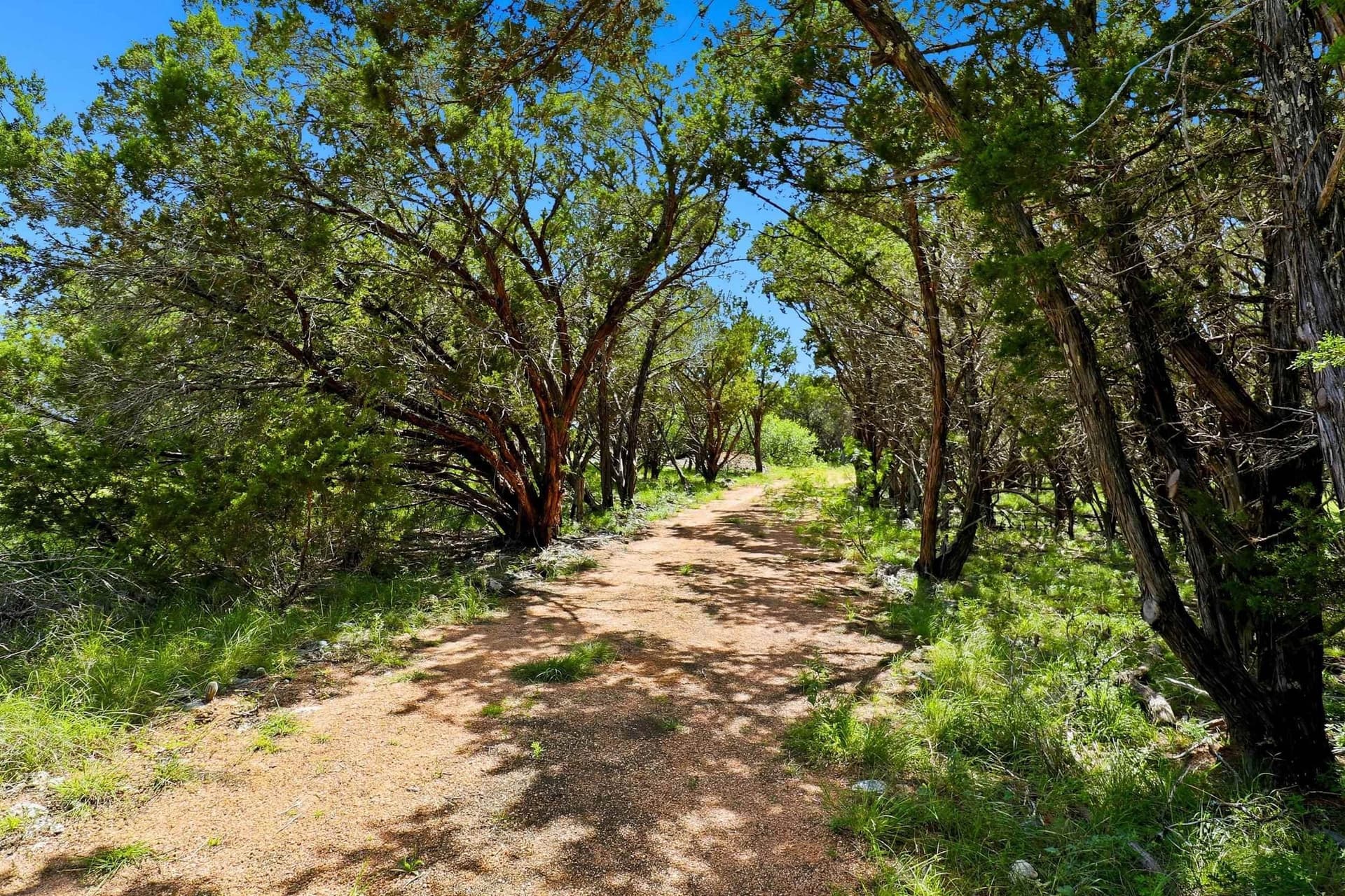 14.85 acres in Burnet County featured view