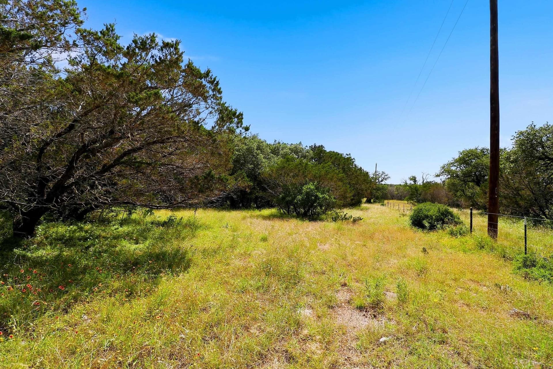 14.85 acres in Burnet County - photo 17